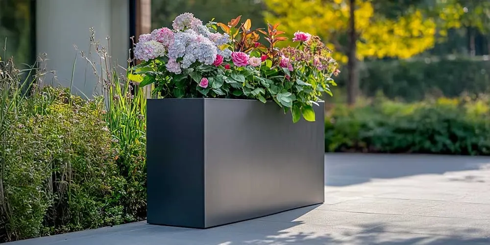 Elevate Your Living Space Naturally